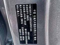 2023 Haval H6 1.5T AT Guochao Champion — фото 11