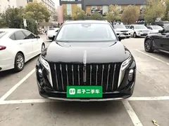 2024 Hongqi HS7 2.0T PHEV 4WD 6, чёрный — фото 3