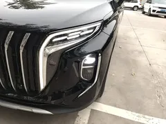 2024 Hongqi HS7 2.0T PHEV 4WD 6, чёрный — фото 24