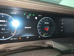 2021 Tank 300 Off-road 2.0T Conqueror — фото 12