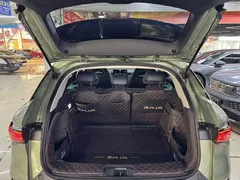 2022 BYD Yuan PLUS EV 430km Premium, зелёный — фото 13