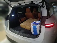 2025 Li Auto i8 Standard, белый — фото 15
