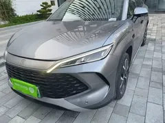 2025 BYD Song L PHEV 160km Smart Driving Exceed — фото 24