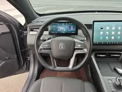 2025 BYD Qin PLUS EV Smart Driving 420km Leading — фото 11