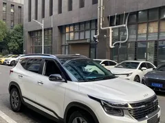 2023 Kia Seltos 1.5L CVT Luxury, белый — фото 8