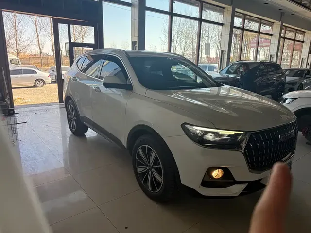 2023 Haval H6 1.5T AT Guochao Champion