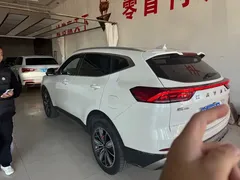 2023 Haval H6 1.5T AT Guochao Champion, белый — фото 4