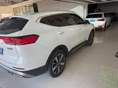 2023 Haval H6 1.5T AT Guochao Champion, белый — фото 6