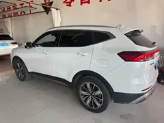 2023 Haval H6 1.5T AT Guochao Champion, белый — фото 7