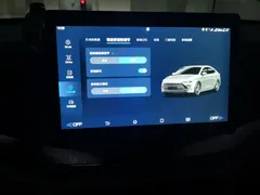 2023 BYD Qin PLUS Champion DM-i PHEV 55KM Leading — фото 20