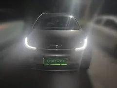 2023 BYD Dolphin 420km Fashion — фото 2