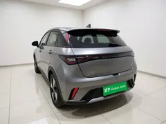 2023 BYD Dolphin 420km Fashion — фото 4