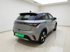 2023 BYD Dolphin 420km Fashion — фото 6