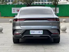 2023 BYD Han PHEV Champion 121KM Premium — фото 19