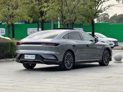 2023 BYD Han PHEV Champion 121KM Premium — фото 20