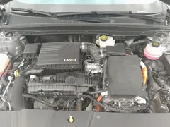 2024 BYD Qin PLUS Honor DM-i PHEV 55km Leading — фото 16