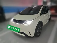 2021 BYD Dolphin 405km Fashion — фото 1