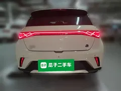 2021 BYD Dolphin 405km Fashion — фото 3