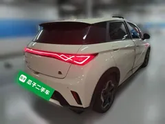2021 BYD Dolphin 405km Fashion — фото 4