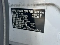 2022 BYD Seal 550km Standard Range RWD Premium, белый — фото 11