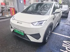 2026 BYD Seagull EV 405km, белый — фото 1