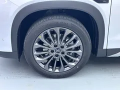 2026 BYD Song Ultra EV 710km, белый — фото 4