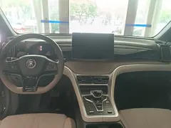 2024 BYD Song Pro Glory Edition DM-i PHEV 110km — фото 9