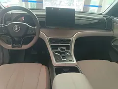 2024 BYD Song Pro Glory Edition DM-i PHEV 110km — фото 10