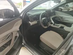 2024 BYD Song Pro Glory Edition DM-i PHEV 110km — фото 12