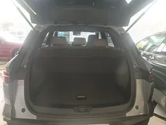 2024 BYD Song Pro Glory Edition DM-i PHEV 110km — фото 15