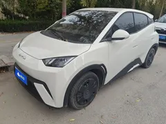 2024 BYD Seagull Honor 305km Vitality, белый — фото 1