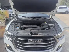 2023 Haval H6 1.5T AT Guochao Urban, белый — фото 20