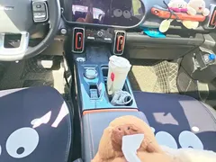 2022 Haval Dargo 2.0T DCT 2WD — фото 16