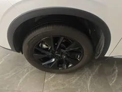 2021 Haval H6 3rd Gen 2.0T AT 2WD Max, белый — фото 23