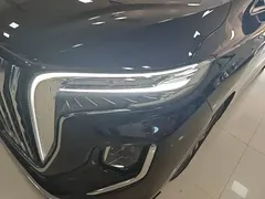 2023 Hongqi HQ9 2.0T — фото 24