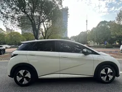 2021 BYD Dolphin 405km Fashion, белый — фото 3