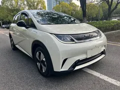2021 BYD Dolphin 405km Fashion, белый — фото 4