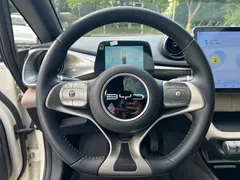 2021 BYD Dolphin 405km Fashion, белый — фото 10