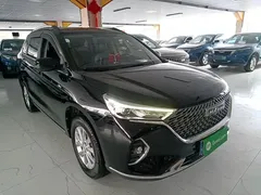 2021 Haval M6 Plus 1.5T DCT, чёрный — фото 4
