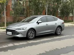 2023 BYD Qin PLUS Champion DM-i PHEV 55KM Leading — фото 1