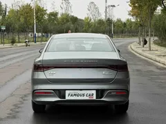 2023 BYD Qin PLUS Champion DM-i PHEV 55KM Leading — фото 5