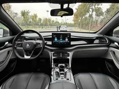 2023 BYD Qin PLUS Champion DM-i PHEV 55KM Leading — фото 8