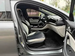 2023 BYD Qin PLUS Champion DM-i PHEV 55KM Leading — фото 13