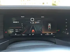 2021 Tank 300 Off-road 2.0T Conqueror — фото 16