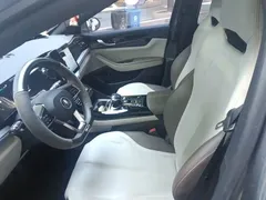 2023 BYD Qin PLUS Champion DM-i PHEV 55KM Leading — фото 12