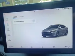 2023 BYD Qin PLUS Champion DM-i PHEV 55KM Leading — фото 20