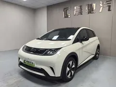 2025 BYD Dolphin 420km Fashion — фото 1