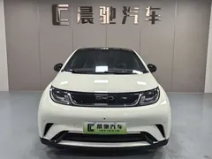 2025 BYD Dolphin 420km Fashion — фото 2