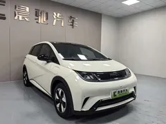 2025 BYD Dolphin 420km Fashion — фото 3