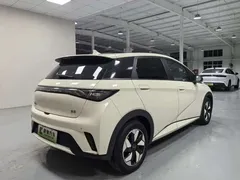 2025 BYD Dolphin 420km Fashion — фото 4